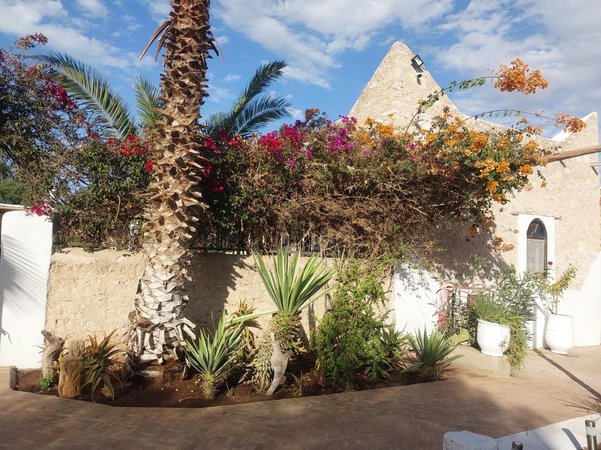Riad Eucalyptus Эс-Сувейра Экстерьер фото