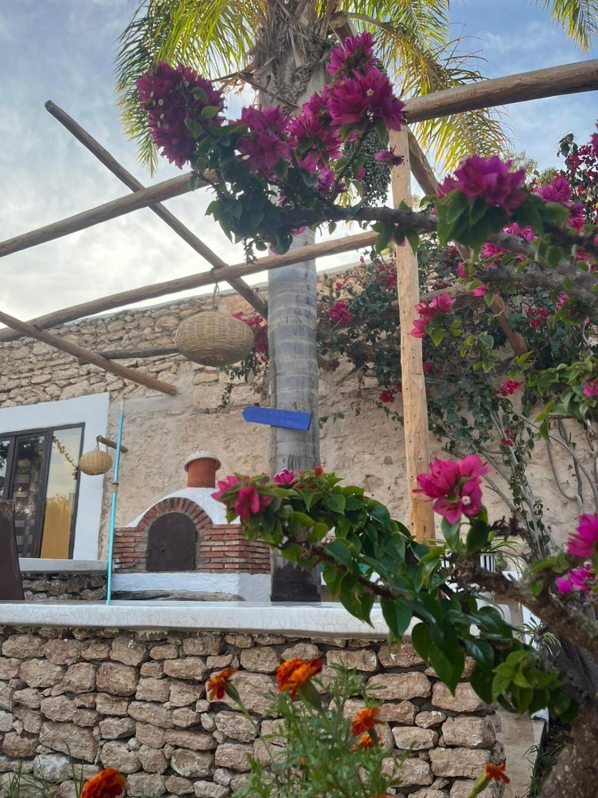 Riad Eucalyptus Эс-Сувейра Экстерьер фото