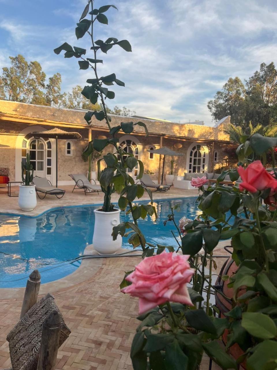 Riad Eucalyptus Эс-Сувейра Экстерьер фото