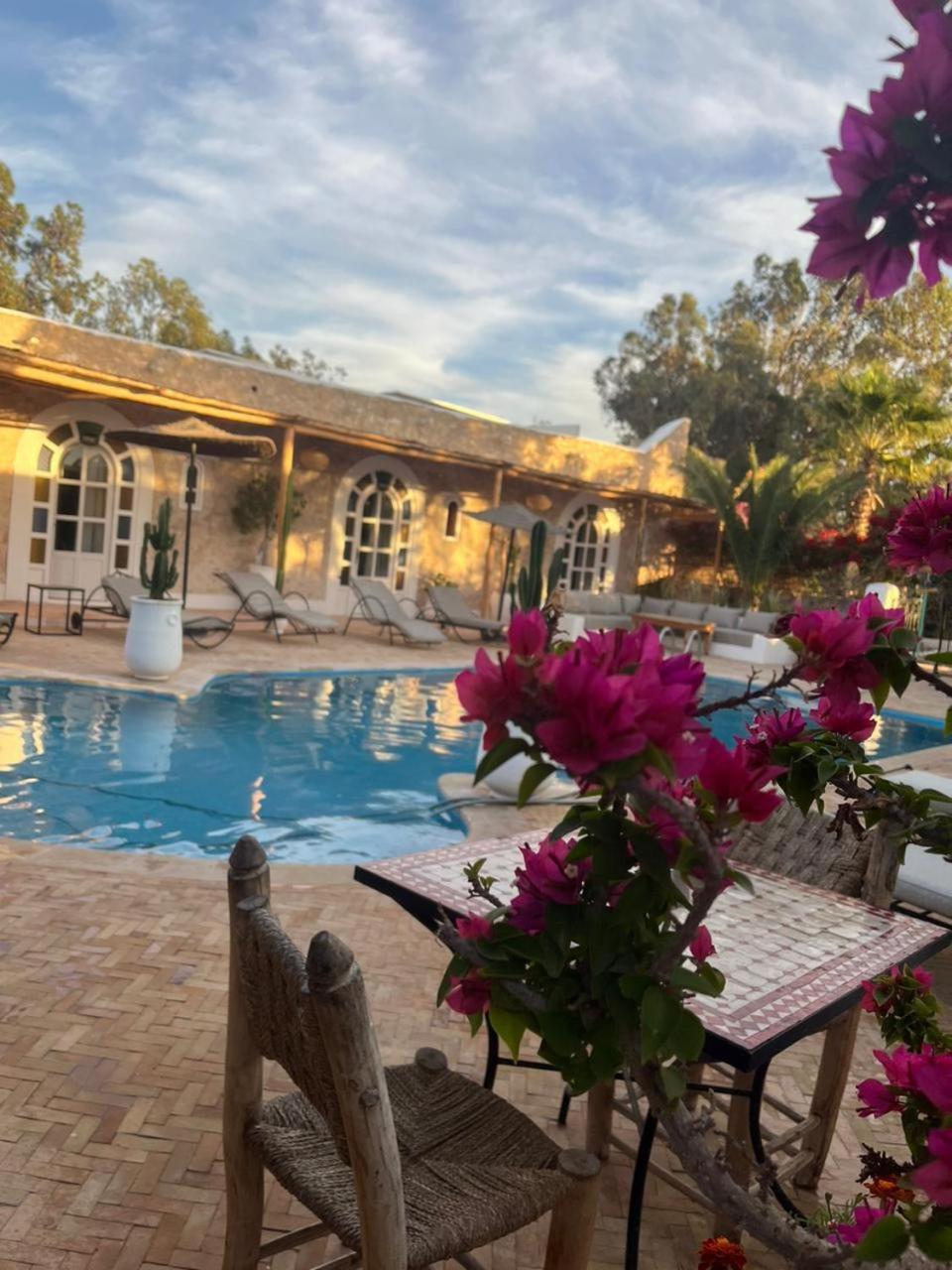 Riad Eucalyptus Эс-Сувейра Экстерьер фото
