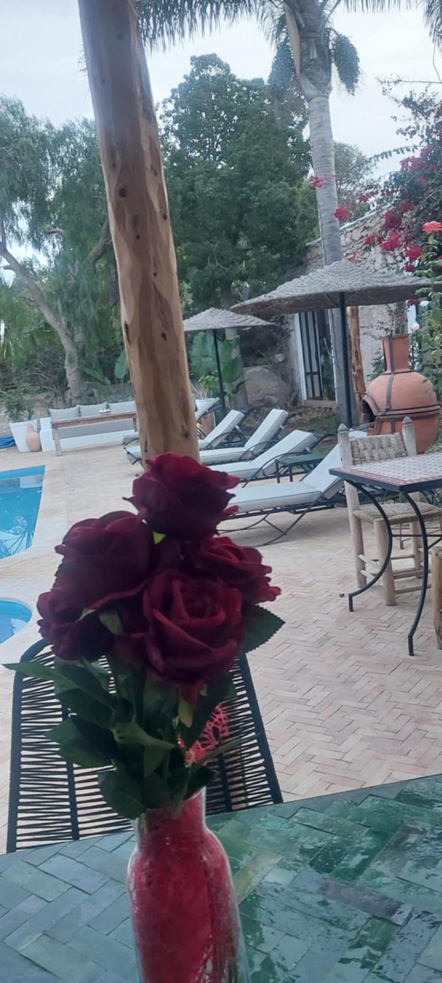 Riad Eucalyptus Эс-Сувейра Экстерьер фото