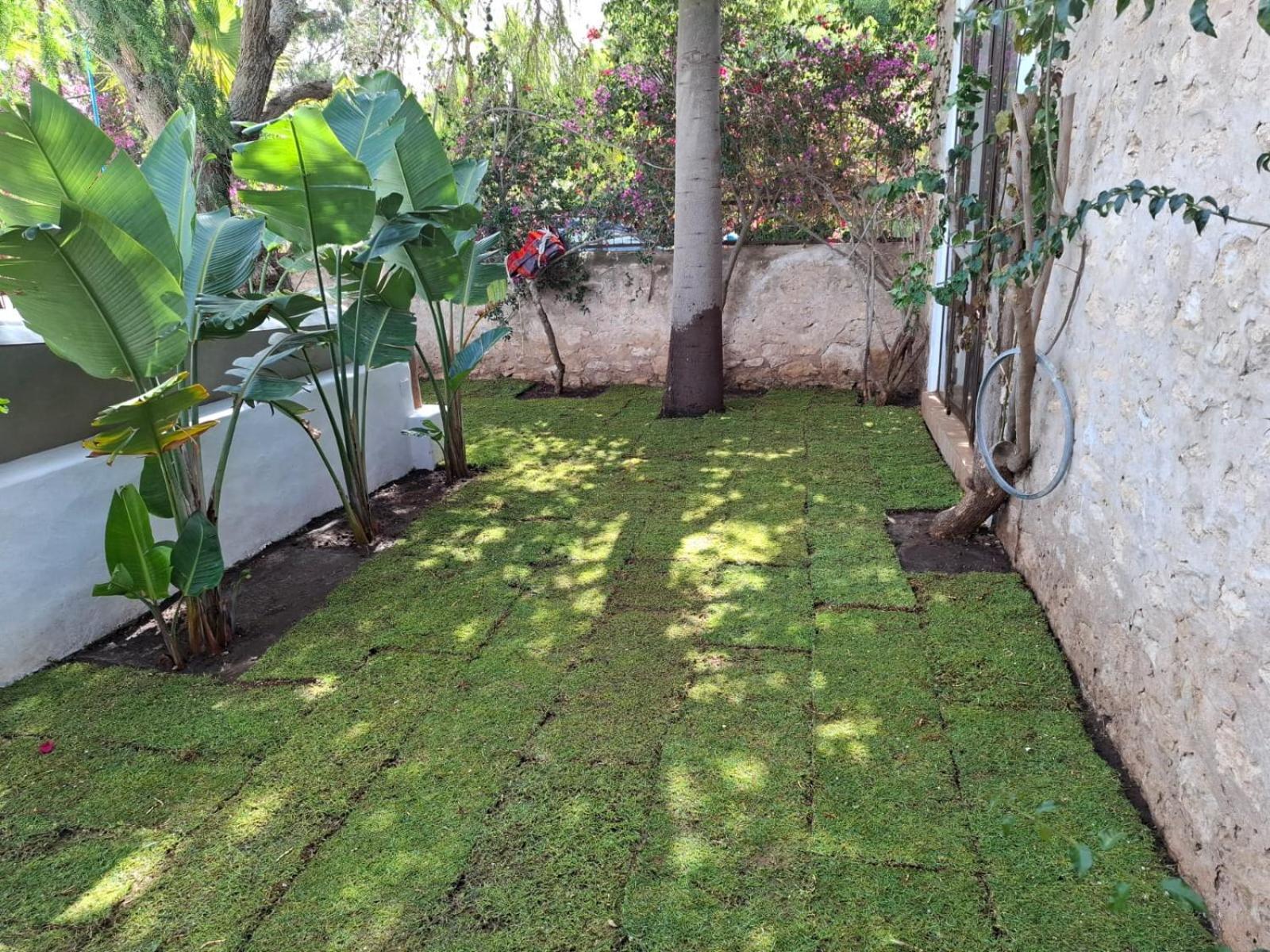 Riad Eucalyptus Эс-Сувейра Экстерьер фото
